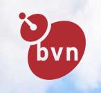Bvn