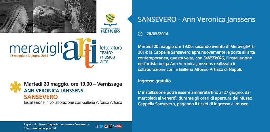 Ann Veronica Janssens