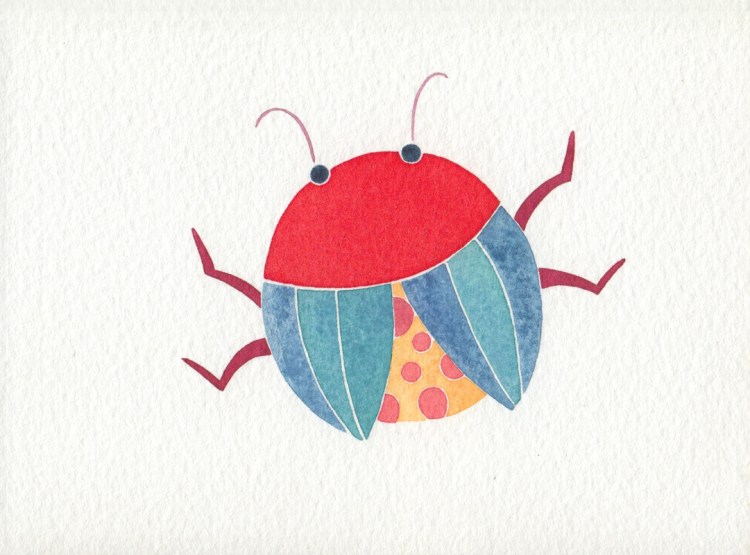 Angelica Gerosa: lady bug