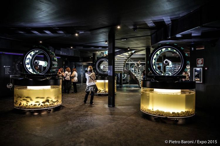 Belgian Pavillon Pietro Baroni